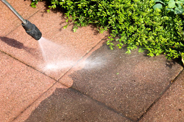 Best Deck Pressure Washing  in Lagrange, IN